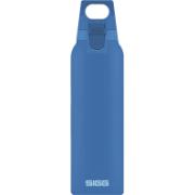 SIGG Hot and Cold Water Bottle 0.5L Teal with Tea Filter – The