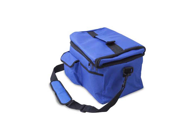 HOMESTAR COOLER BAG 9LT