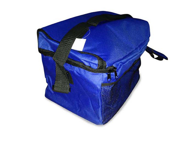 HOMESTAR COOLER BAG 9LT