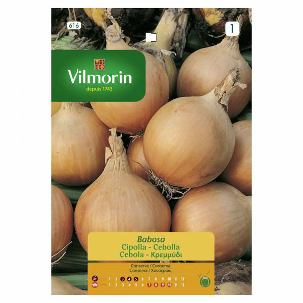 VILMORIN ONION YELLOW