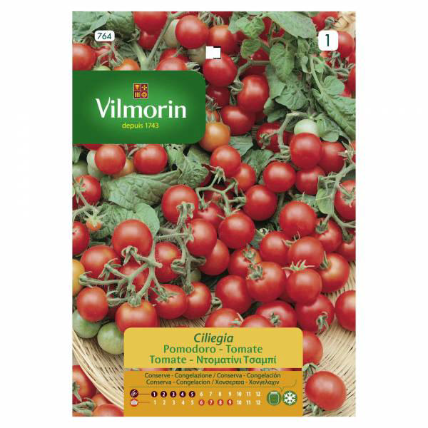 VILMORIN ΝΤΟΜΑΤΑ CHERRY