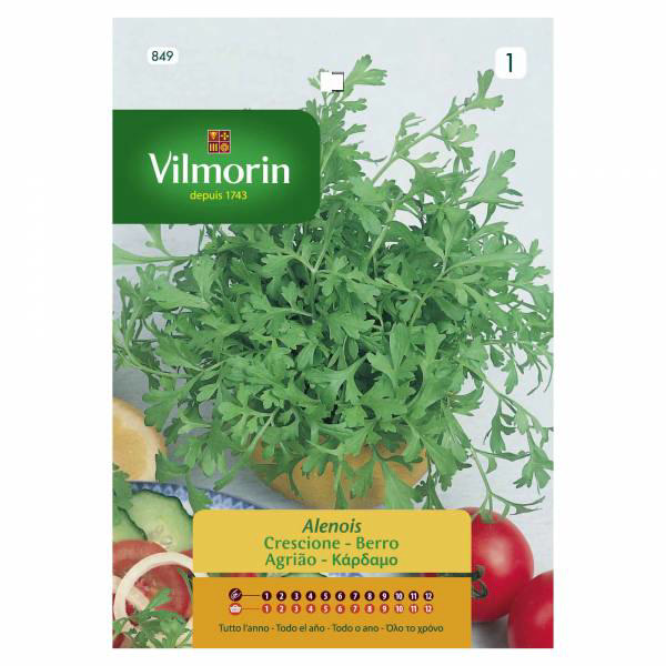 VILMORIN CRESS