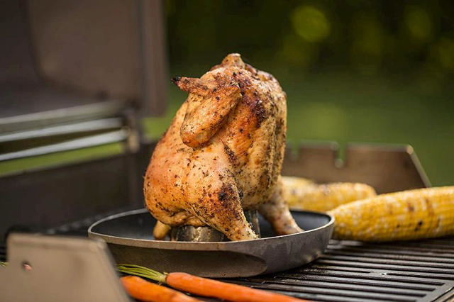 WEBER POULTRY ROASTER  