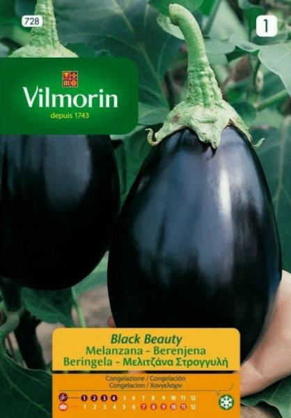 VILMORIN ΜΕΛΙΝΤΖΑΝΑ BLACK BEAUTY