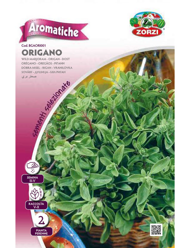 ZORZI BGAORI001 OREGANO