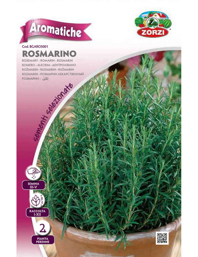 ZORZI BGAROS001 ROSEMARY