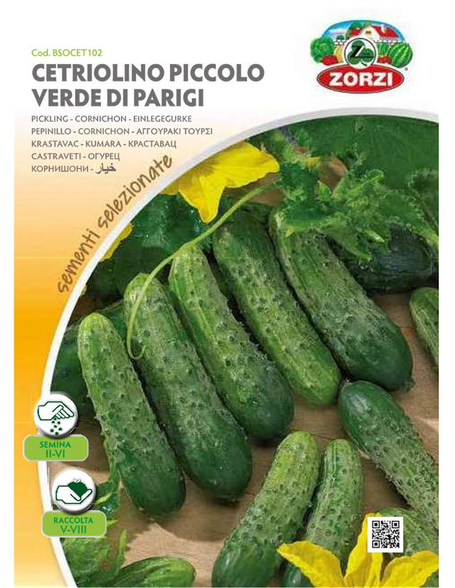 ZORZI BSOCET102 PICKLING CUCUMBER