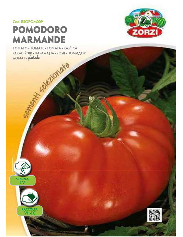 ZORZI BSOPOM009 TOMATO