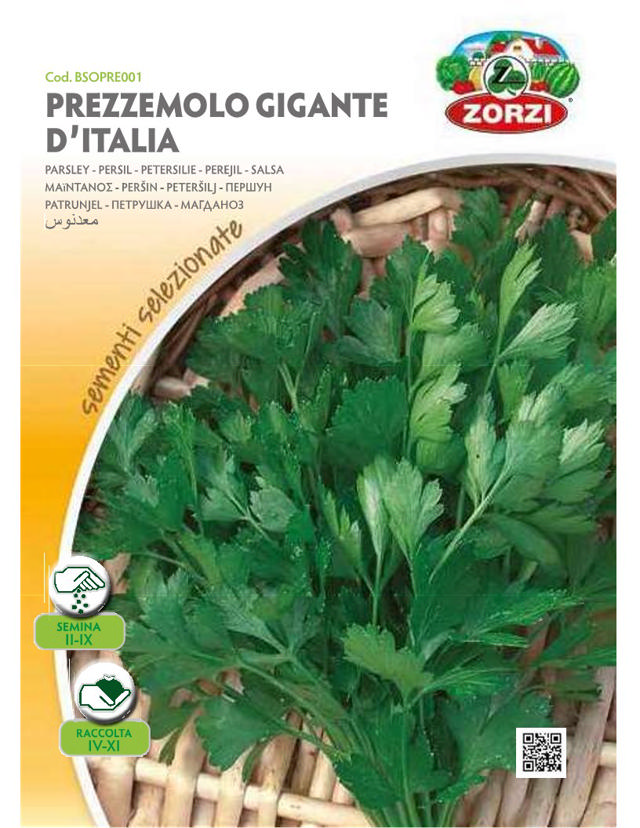 ZORZI BSOPRE001 PARSLEY