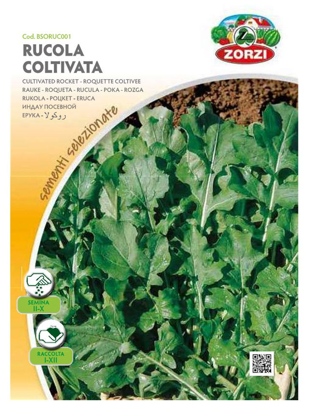 ZORZI BSORUC001 CULTIVATED ROCKET