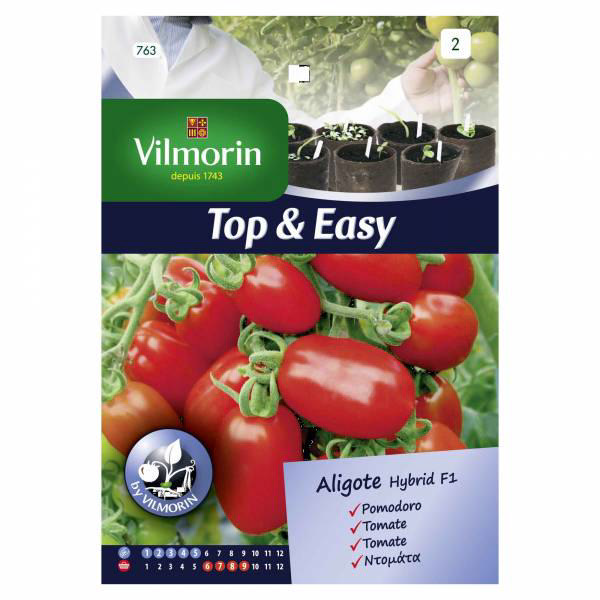 VILMORIN ΝΤΟΜΑΤΑ ALIGOTE 'TOP&EASY BY VILMORIN