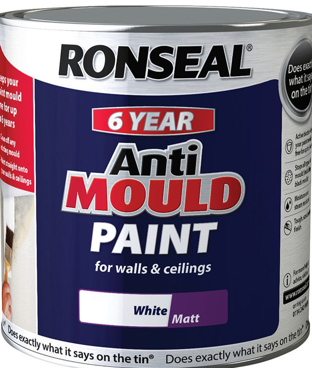 RONSEAL® 6 YEARS ΒΑΦΗ ΑΝΤΙ ΜΟΥΧΛΑΣ ΛΕΥΚΗ 0.75L