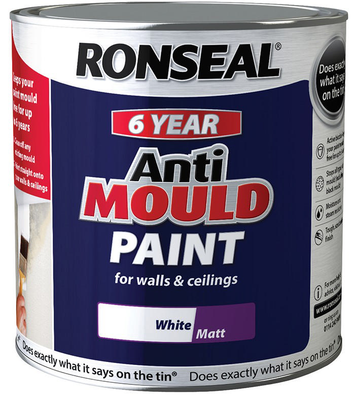 RONSEAL® 6 YEARS ΒΑΦΗ ΑΝΤΙ ΜΟΥΧΛΑΣ ΛΕΥΚΗ 2.5L