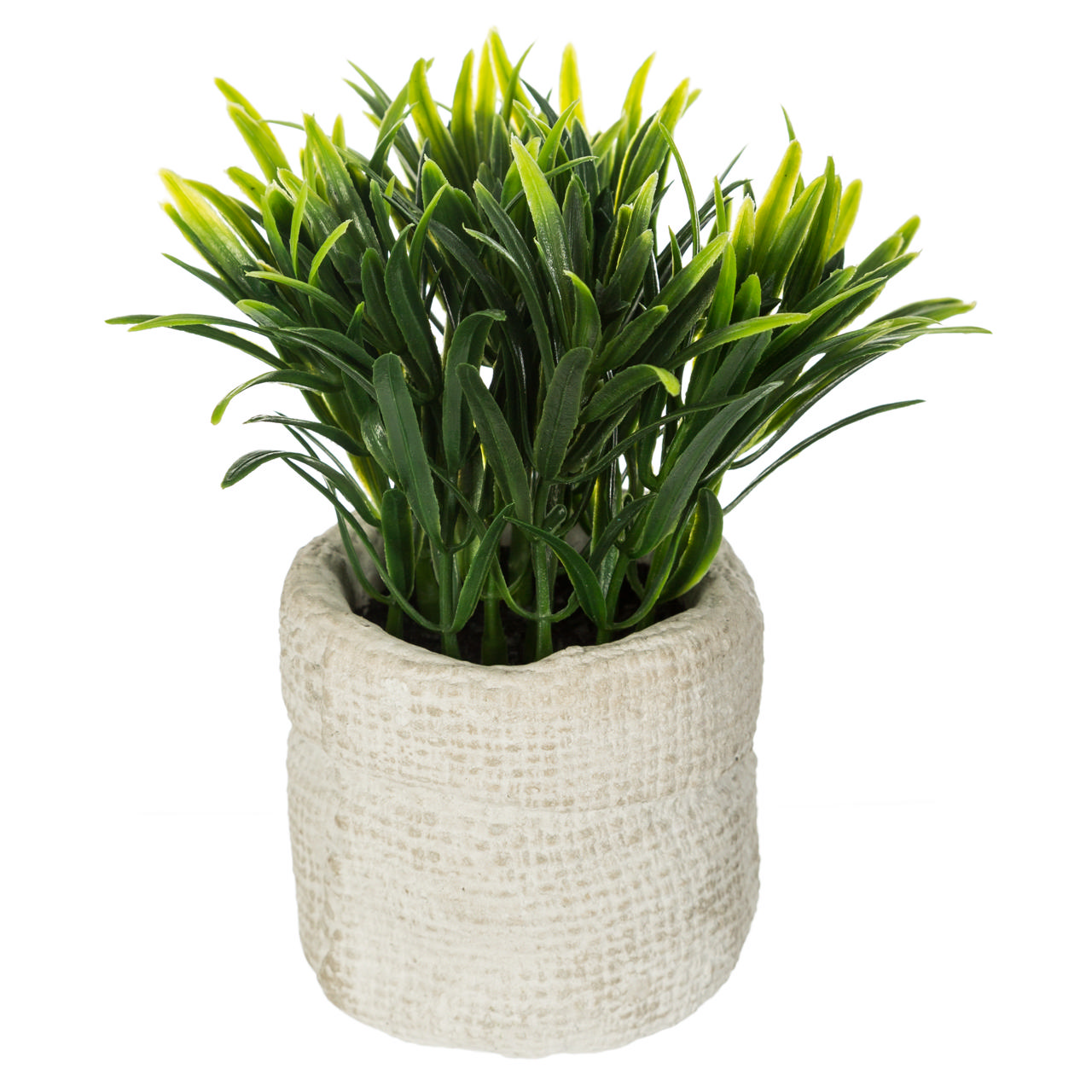 GREEN PLANT CEMENT POT 