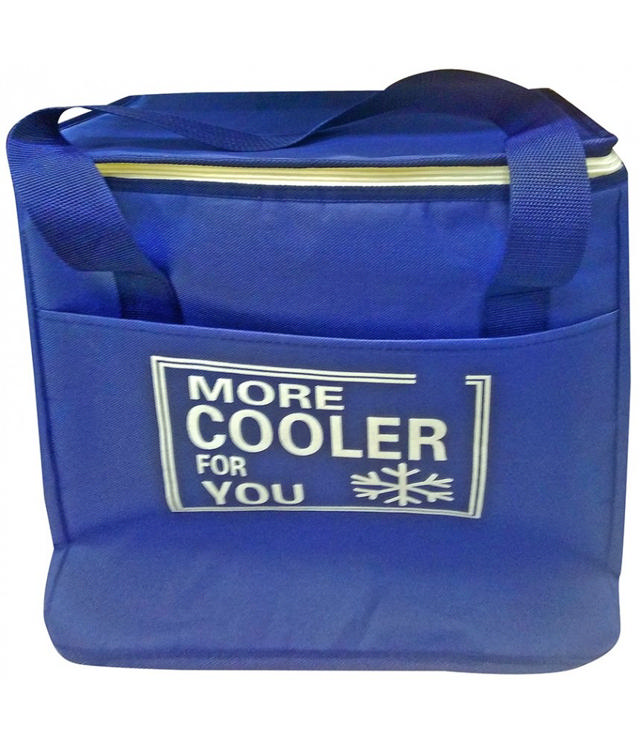 COOL BAG 22X14X14 4COLORS