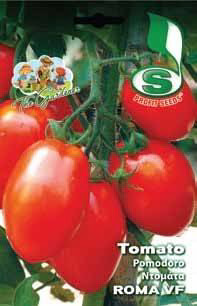 TOMATO ROMA VF 10GR