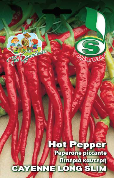 HOT PEPPER CAYENNE LONG SLIM 1