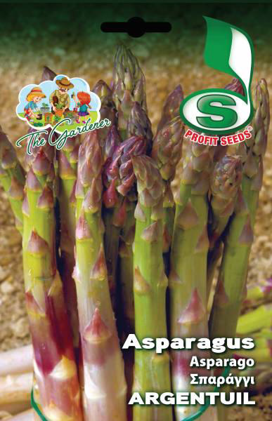 ASPARAGUS ARGENTUIL 3,5GR