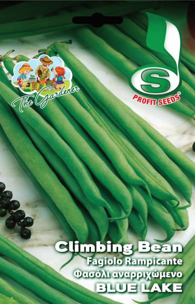 CLIMBING BEAN BLUE LAKE 50GR