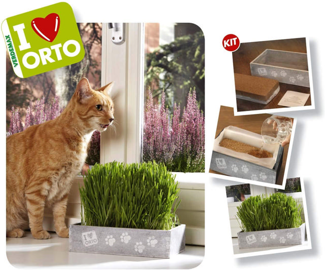 VERDEMAX CAT NIP GRASS