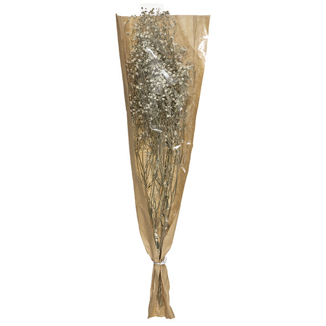 ATMOSHERA 179317 DRIED FLOWER GYPSOPHILE H58CM