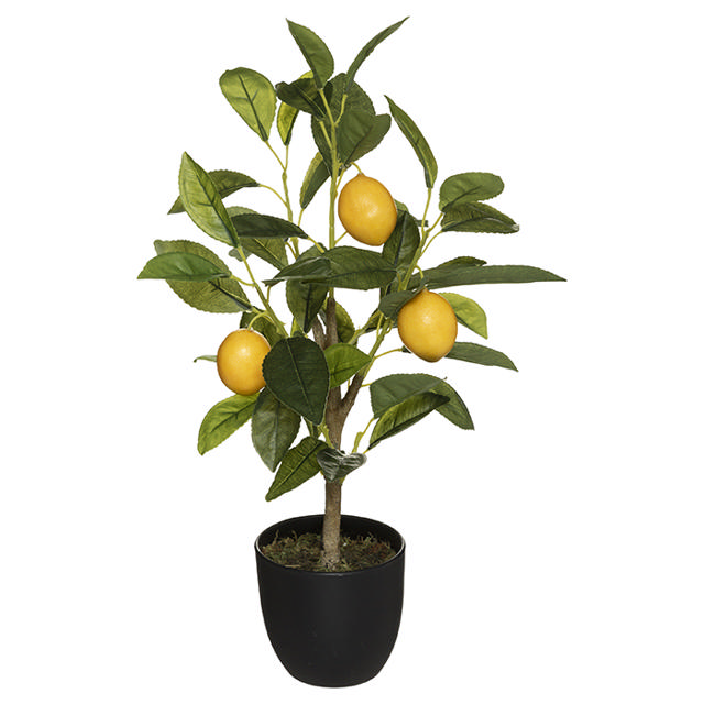 ATMOSHERA 179313 LEMON TREE HEIGHT 43CM