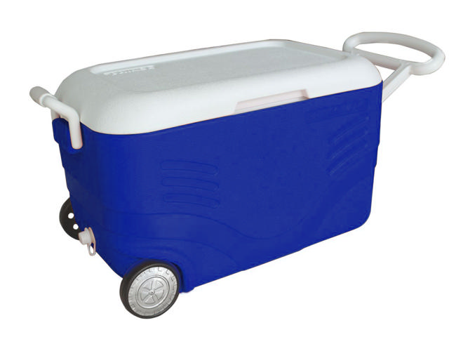 PRINCE COOLER EVEREST 40L