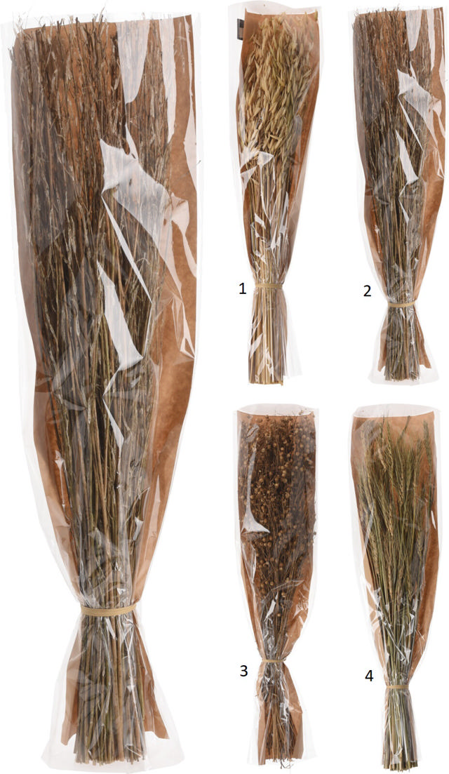 BRANCHES NATURAL GRASS MATERIAL 4 ASSORTED DESIGNS