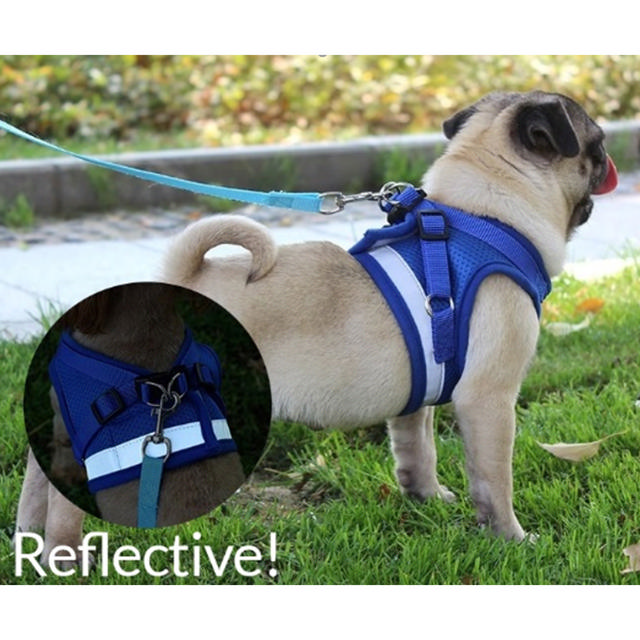 PS REFLECT HARNESS WΙΤΗ LEASH 120CM