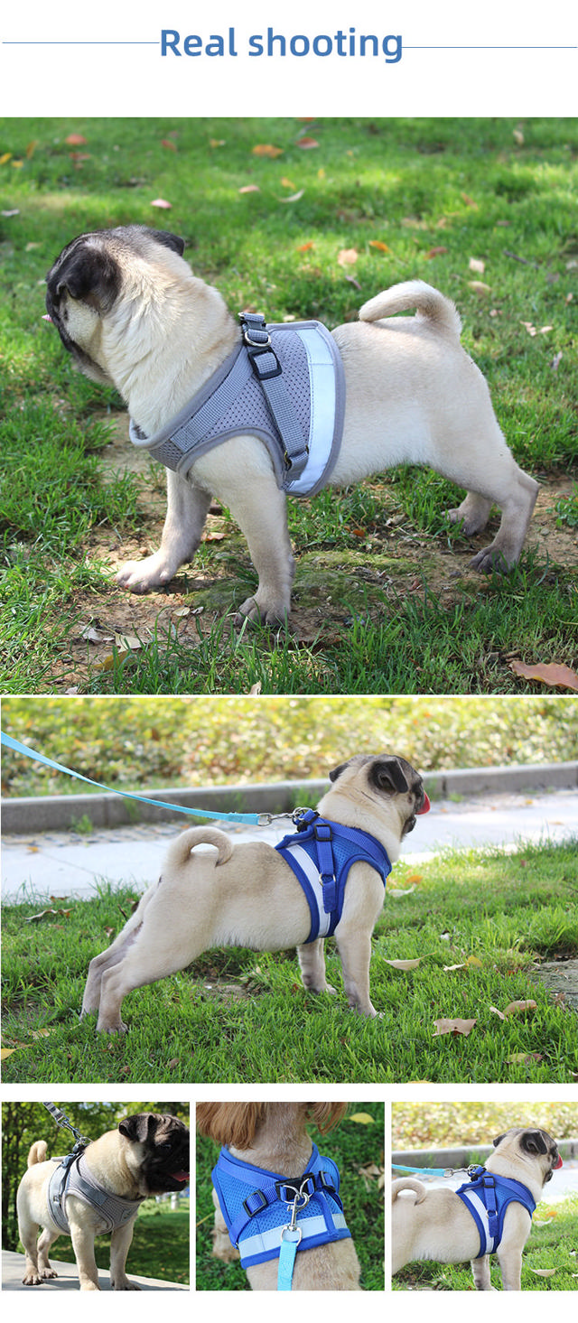 PS REFLECT HARNESS WΙΤΗ LEASH 120CM