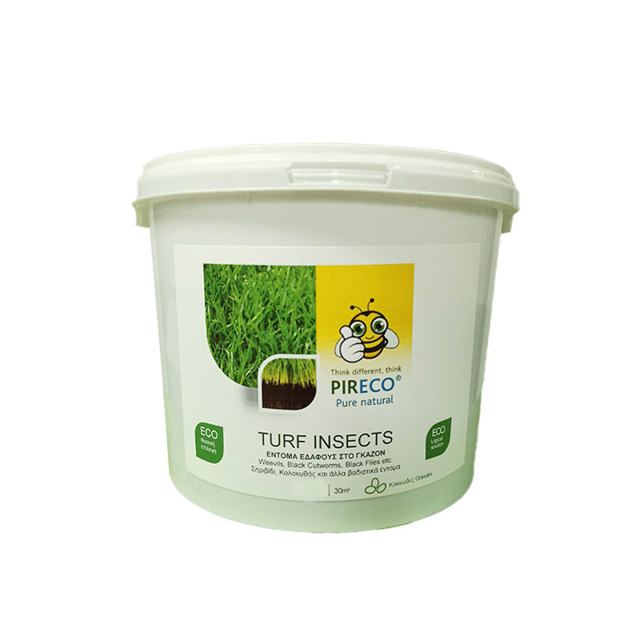 TURF ΕΝΤΟΜΑ ΕΔΑΦΟΥΣ ΣΤΟ ΓΚΑΖΟΝ 1KG