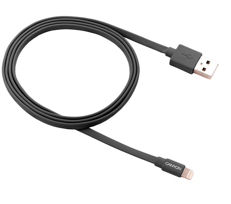 CANYON MFI CHAR&SYNC CABLE