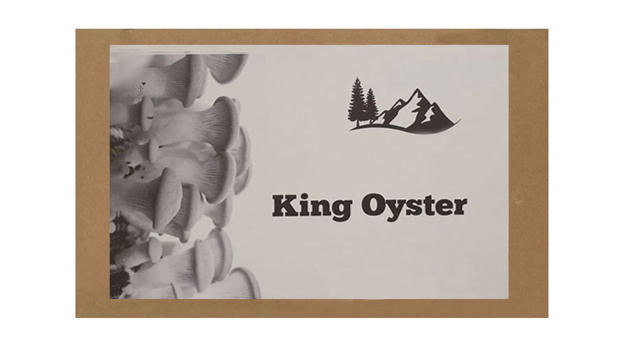 KING OYSTER HOME GROWN PACK