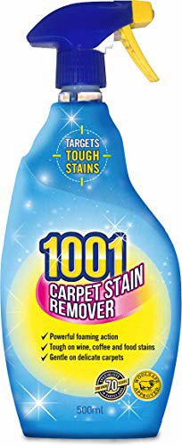 1001 CARPET STAIN REMOVER 500ML