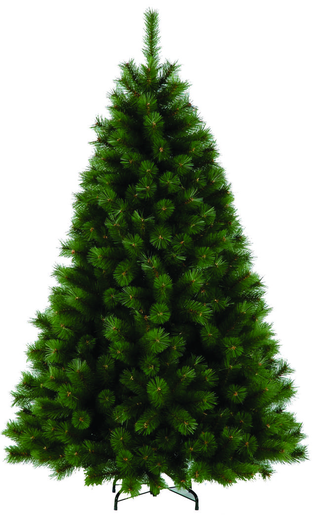 HIGHLAND FIR 2,1M