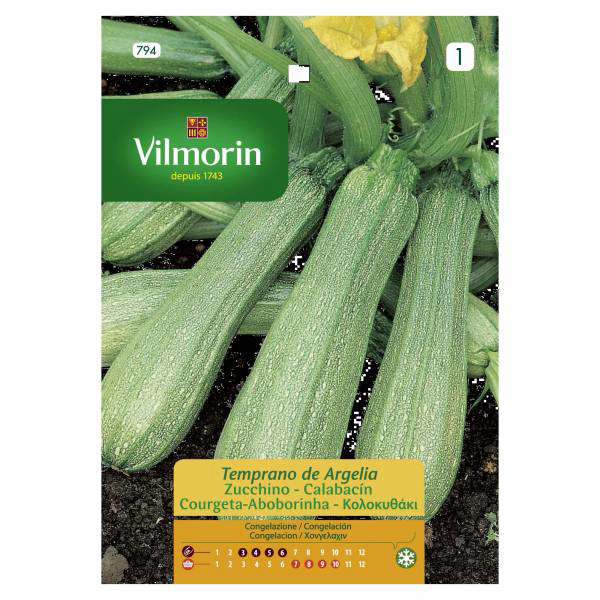 VILMORIN SMALL PUMPKIN WHITE