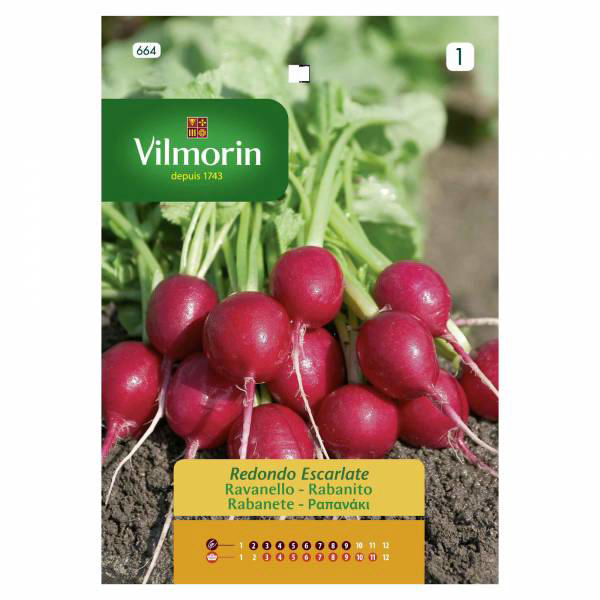 VILMORIN RADISH ROUND RED