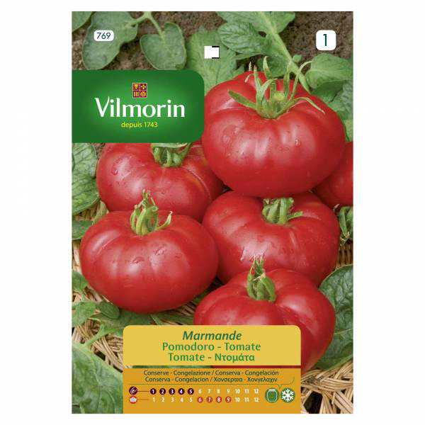 VILMORIN ΝΤΟΜΑΤΑ MARMANDE