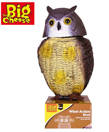 BIG CHEESE WIND-ACTION OWL