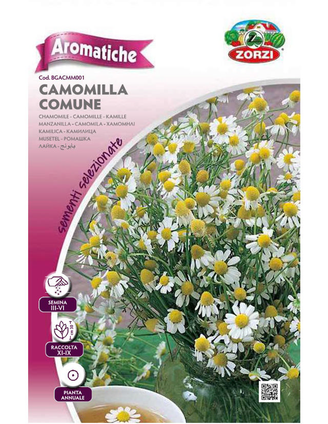 ZORZI BGACAM001 CHAMOMILE