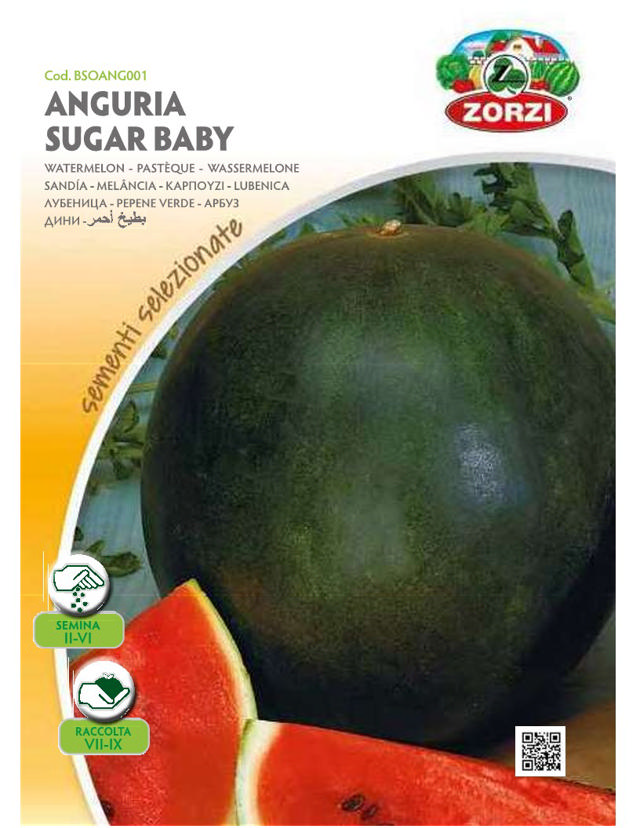 ZORZI BSOANG001 WATERMELON