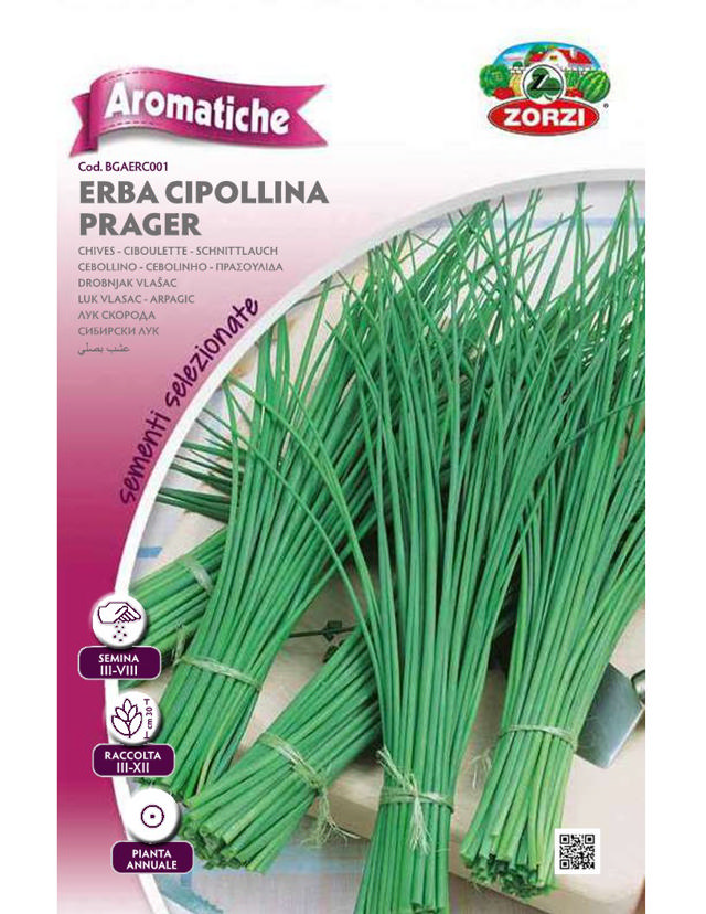 ZORZI BGAECO001 CHIVE