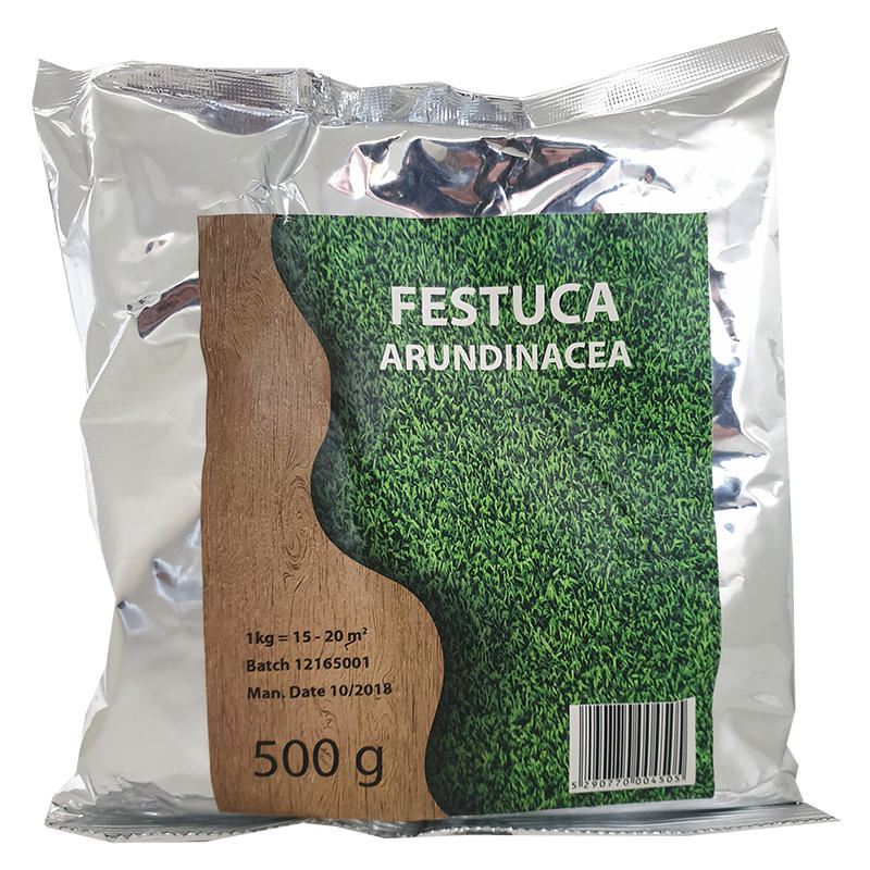 FESTUCA ΓΡΑΣΙΔΙ ΣΠΟΡΟΙ  500GR