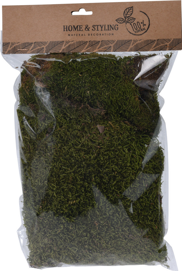 MOSS 100 GRAM NATURAL