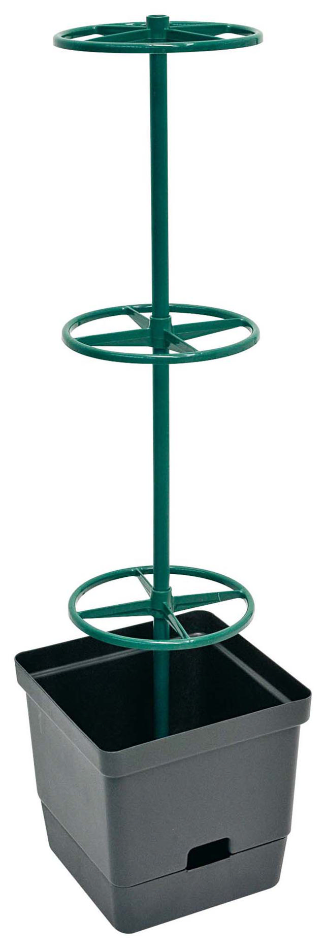 VERDEMAX VINE PLANTER W POT SQ 28CM