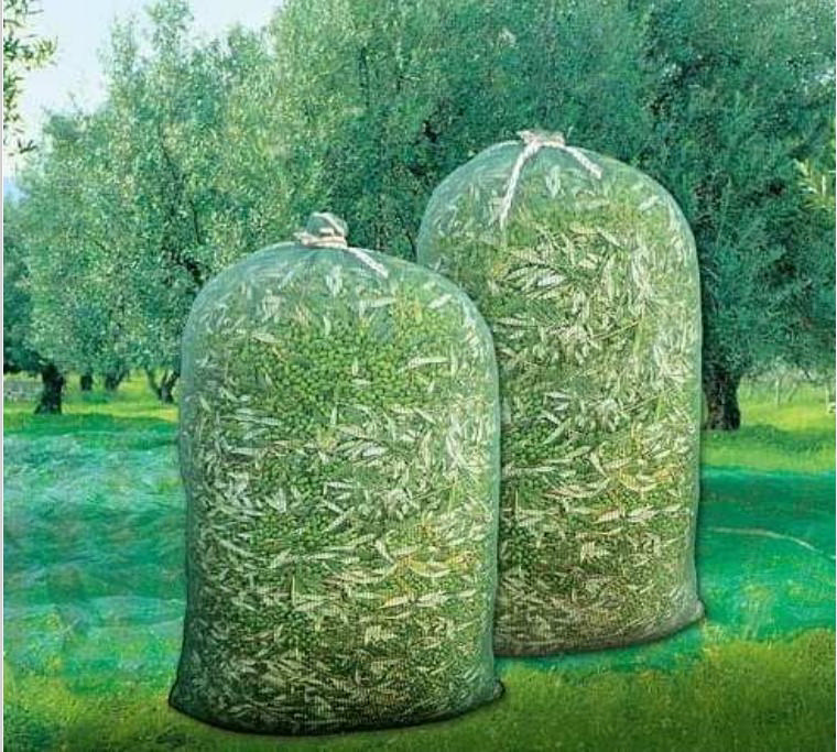 OLIVE SACK NET 50X80CM