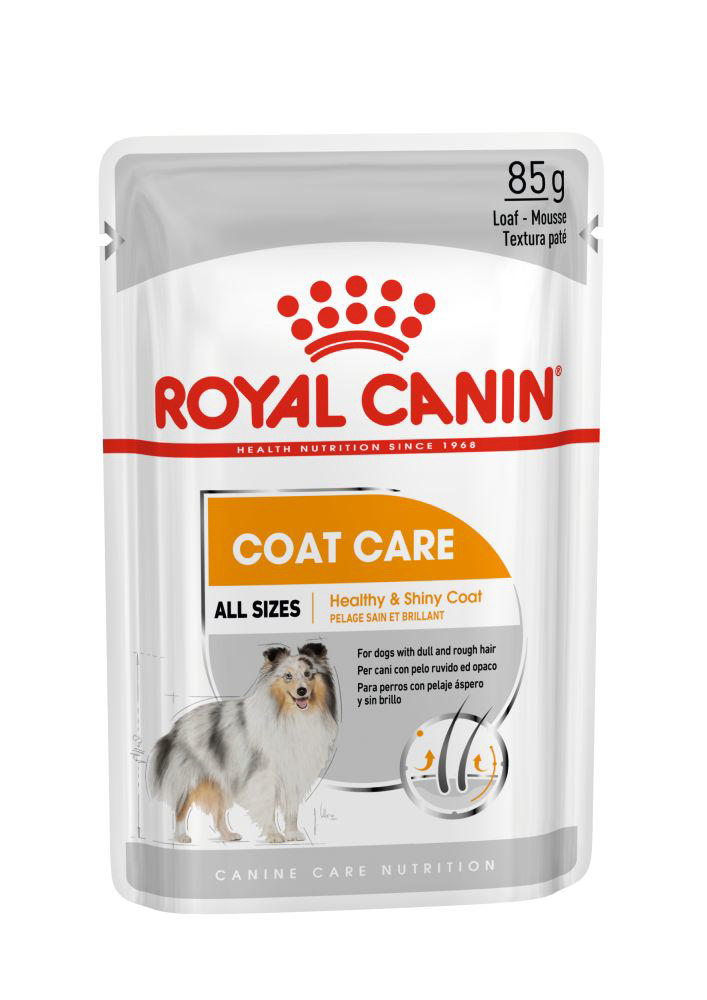 ROYAL CANIN ΛΙΧΟΥΔΙΑ ΣΚΥΛΟΥ ΚΟΤΟΠΟΥΛΟ COAT CARE LOAF 85GR