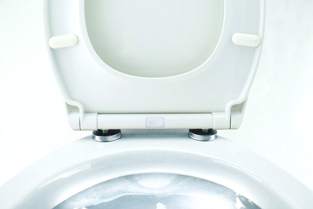 SANIPLAST TOILET SEAT QUICK RELEASE AND SLOW CLOCE WHITE 