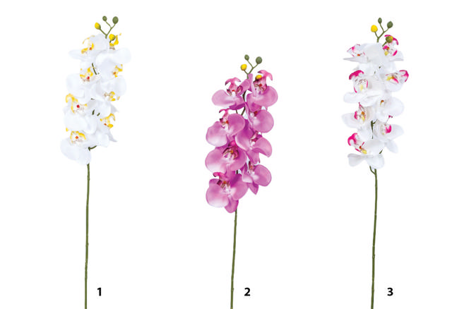 ORCHID STEM 77CM 3 ASSORTED DESIGNS