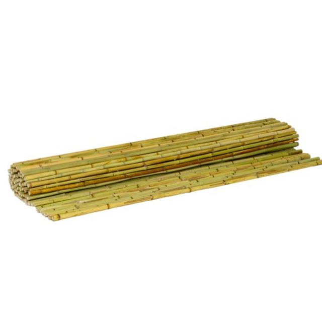 SHOWOOD REED FENCE 20-25MM 2X3M